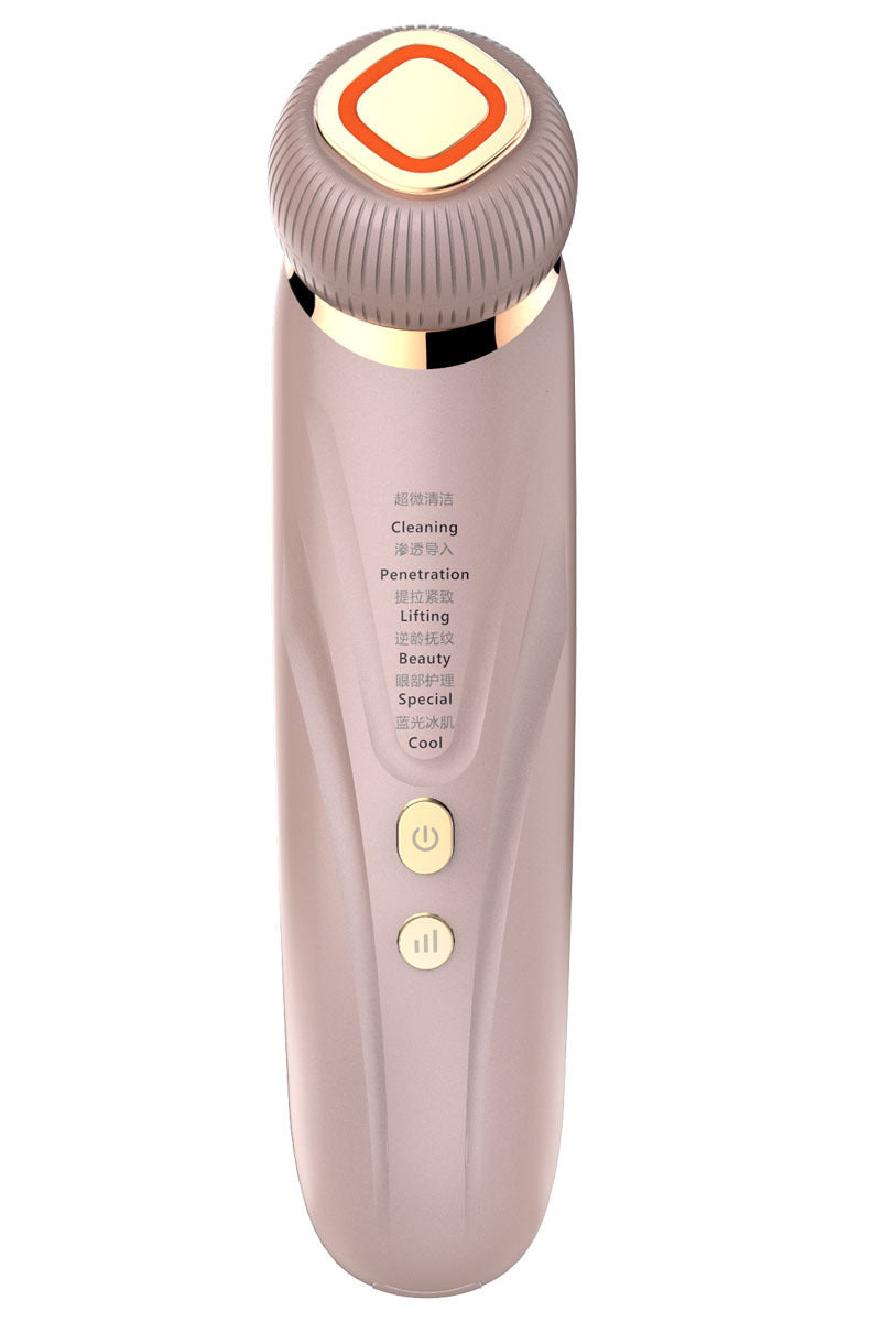 Household Facial French Pattern Massage Cleansing Lifting And Firming Face Inductive Therapeutical Instrument