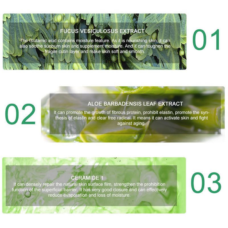 Hydrating Repair Hyaluronic Acid Serum with Aloe and Centella for Skin Rehabilitation - Sunkissed Skin’s Best Friend