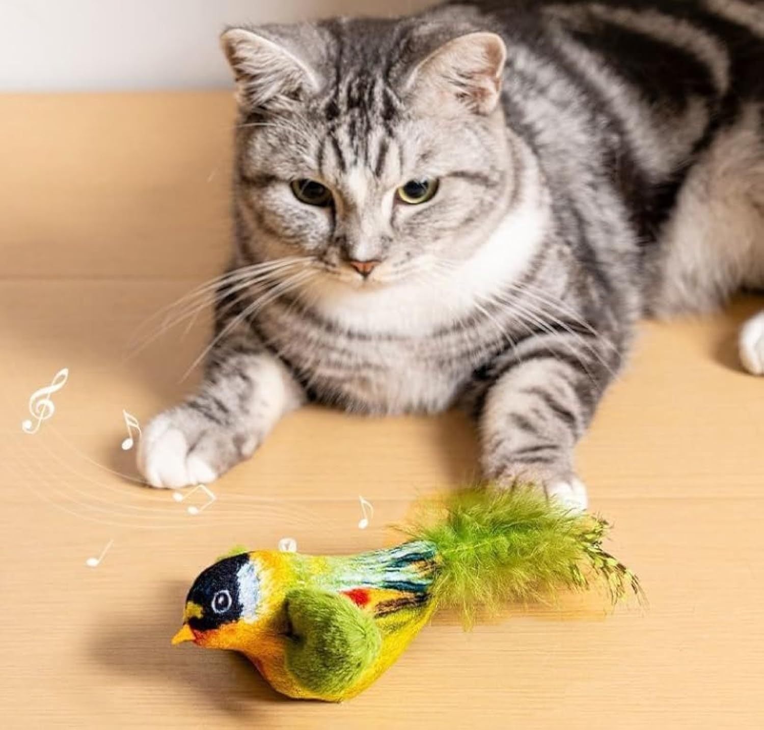Interactive Bird Cat Toy for Indoor Cats - Telepluscomtr cat toy bird flappy chase