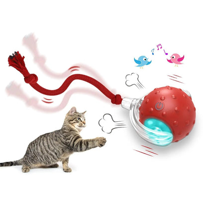 Interactive Cat Teasing Ball Toy for High Energy Cats Carpet Friendly - Teleplus cat teasing ball funny