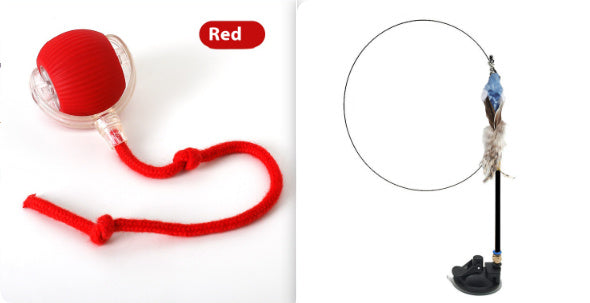 Interactive Cat Teasing Ball Toy for High Energy Cats Carpet Friendly - Teleplus cat teasing ball funny