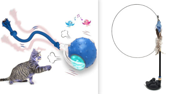 Interactive Cat Teasing Ball Toy for High Energy Cats Carpet Friendly - Teleplus cat teasing ball funny