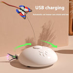 Interactive Feather Cat Toy for Indoor Cats Chase and Play Exercise - Teleplus cat toy