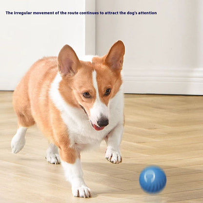 Interactive Gravity Jump Ball Toy for Small and Medium Dogs Rechargeable