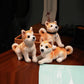 Interactive Posture Akita Ordinary Style Cat Toy Standing Sitting Lying Plush - Teleplus posture akita [ordinary style]