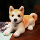 Interactive Posture Akita Ordinary Style Cat Toy Standing Sitting Lying Plush - Teleplus posture akita [ordinary style]