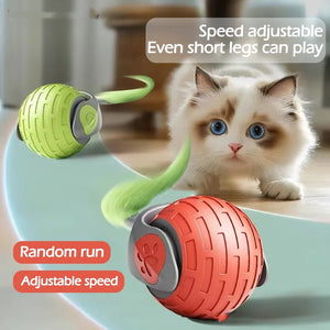 Interactive Smart Cat Toy with Motion Sensor and Quiet Night Play - Teleplus cat toy