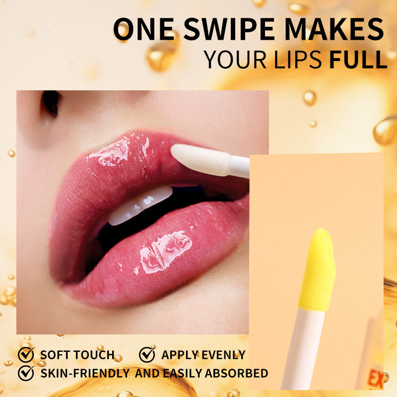 Ladies Lip Care Oil Set for Nourishing and Moisturizing Daily Night - Essential lip essential oil care nourishing