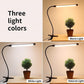 LED Eye Protection Desk Lamp for Student Dormitory and Study Rooms - Teleplus Students led lamp eye protection student