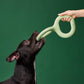Light Green Rubber Type Dog Toy 8.9 Inches Duty Free Price Pet Supplies - Teleplus duty free price rubber type
