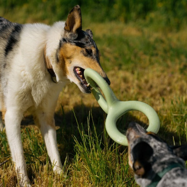 Light Green Rubber Type Dog Toy 8.9 Inches Duty Free Price Pet Supplies - Teleplus duty free price rubber type