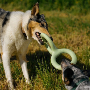 Light Green Rubber Type Dog Toy 8.9 Inches Duty Free Price Pet Supplies - Teleplus duty free price rubber type