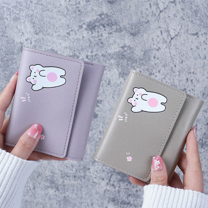 Light Pink and Blue PU Card Wallet for United States Currency with Secret Compartment - Large Banknote Bliss in a Purse