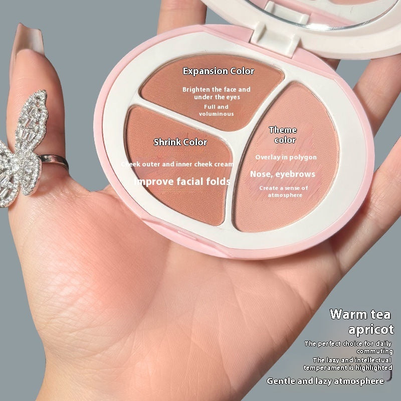 Long Lasting Blush Palette for All Skin Types Natural Matte Rouge Makeup - Teleplus long lasting blush palette skin