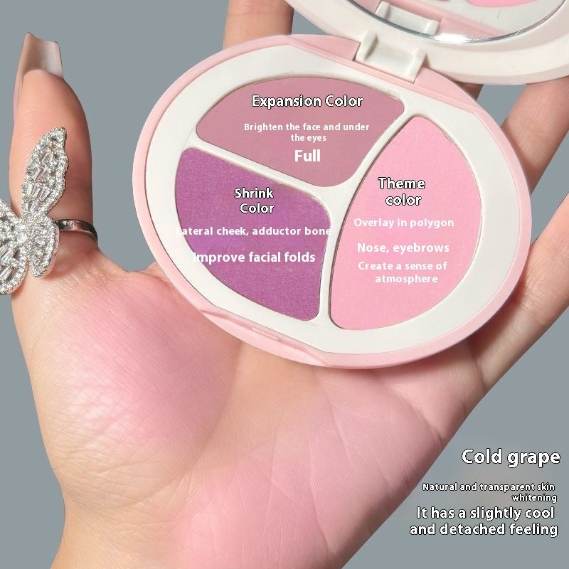 Long Lasting Blush Palette for All Skin Types Natural Matte Rouge Makeup - Teleplus long lasting blush palette skin