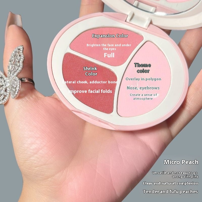 Long Lasting Blush Palette for All Skin Types Natural Matte Rouge Makeup - Teleplus long lasting blush palette skin