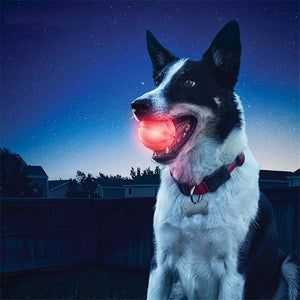 Luminous TPR Pet Toy Ball for Dogs and Cats in Blue Pink Yellow Purple - toy ball