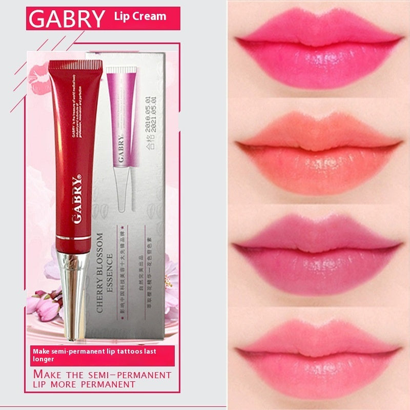 Makeup Beauty Tools Set in Rose Red Pink Orange Blending Sponges - Teleplus rose red makeup beauty tools set