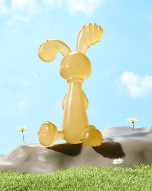 Nano Silver Liquid Silicone Rabbit Teether Set with Storage Box in Light Blue and Pink for United States Buyers