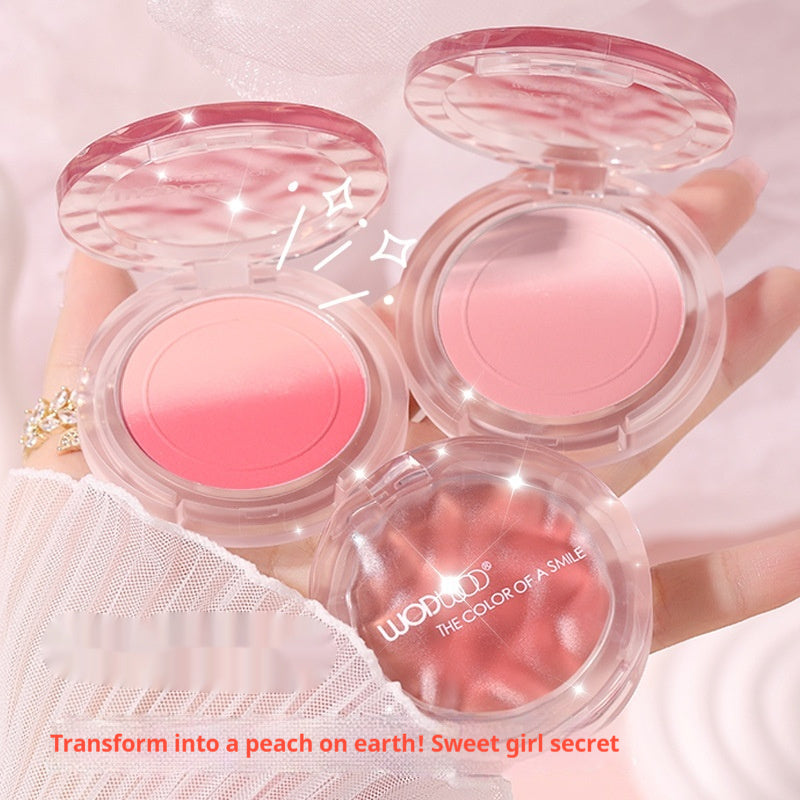 Neutral Blush Powder Rouge for Sensitive Skin 7g Large Compact - Teleplus teleplus neutral blush sensitive skin powder
