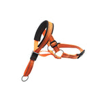 Nylon Dog Mouth Harness Adjustable Traction Rope in Multiple Colors and Sizes - Teleplus dog mouth