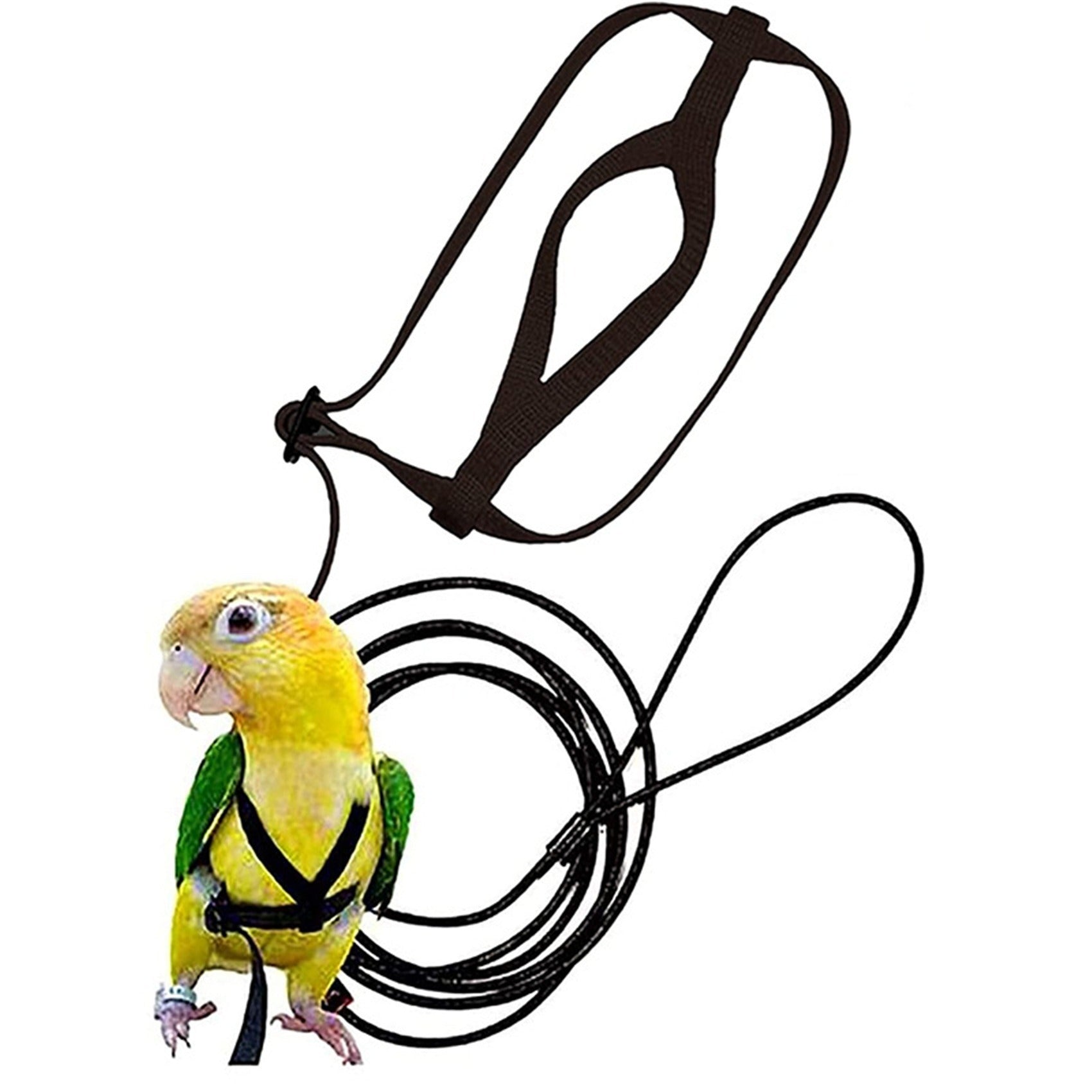 Nylon Parrot Hand Holding Rope Adjustable Leash Black Green Blue Red 160cm - hand holding rope total length