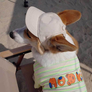 Pet Baseball Cap Adjustable Sun Hat for Dogs and Cats Multiple Colors - Teleplus pet baseball cap blue