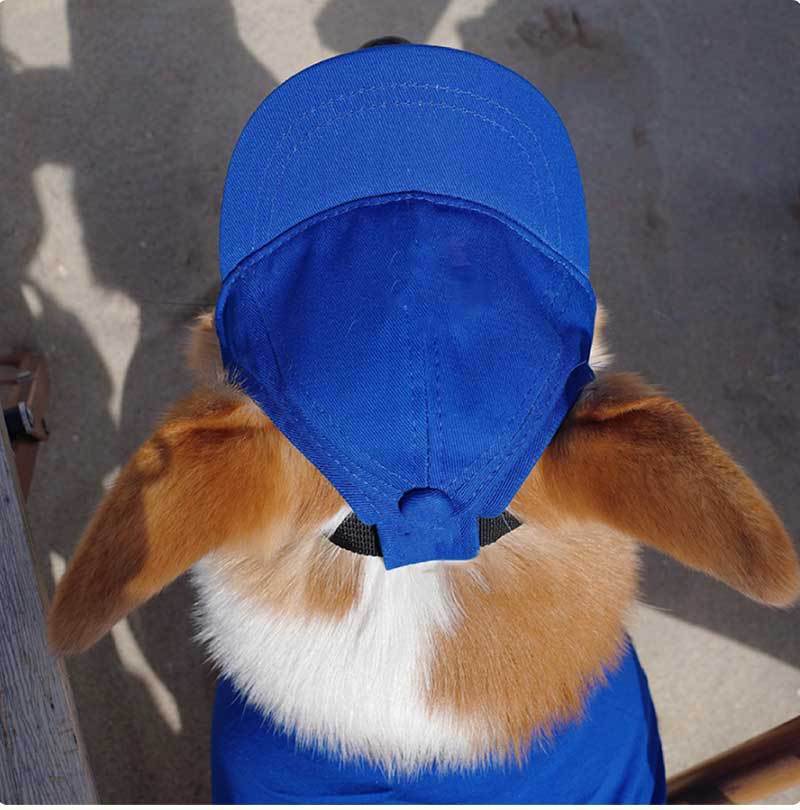 Pet Baseball Cap Adjustable Sun Hat for Dogs and Cats Multiple Colors - Teleplus pet baseball cap blue