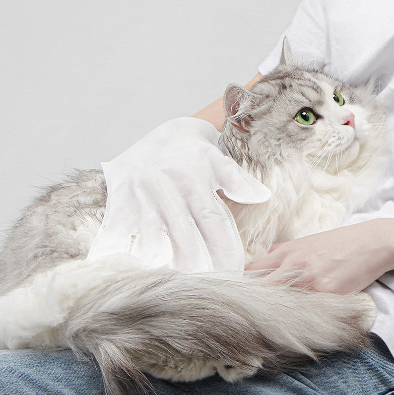 Pet Cat Disposable Gloves Dry Cleaning - Cat Disposable Gloves for Purrfectly Clean Fun