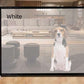 Pet Folding Isolation Net Portable Plastic Enclosure for Dogs and Cats - Teleplus folding isolation net
