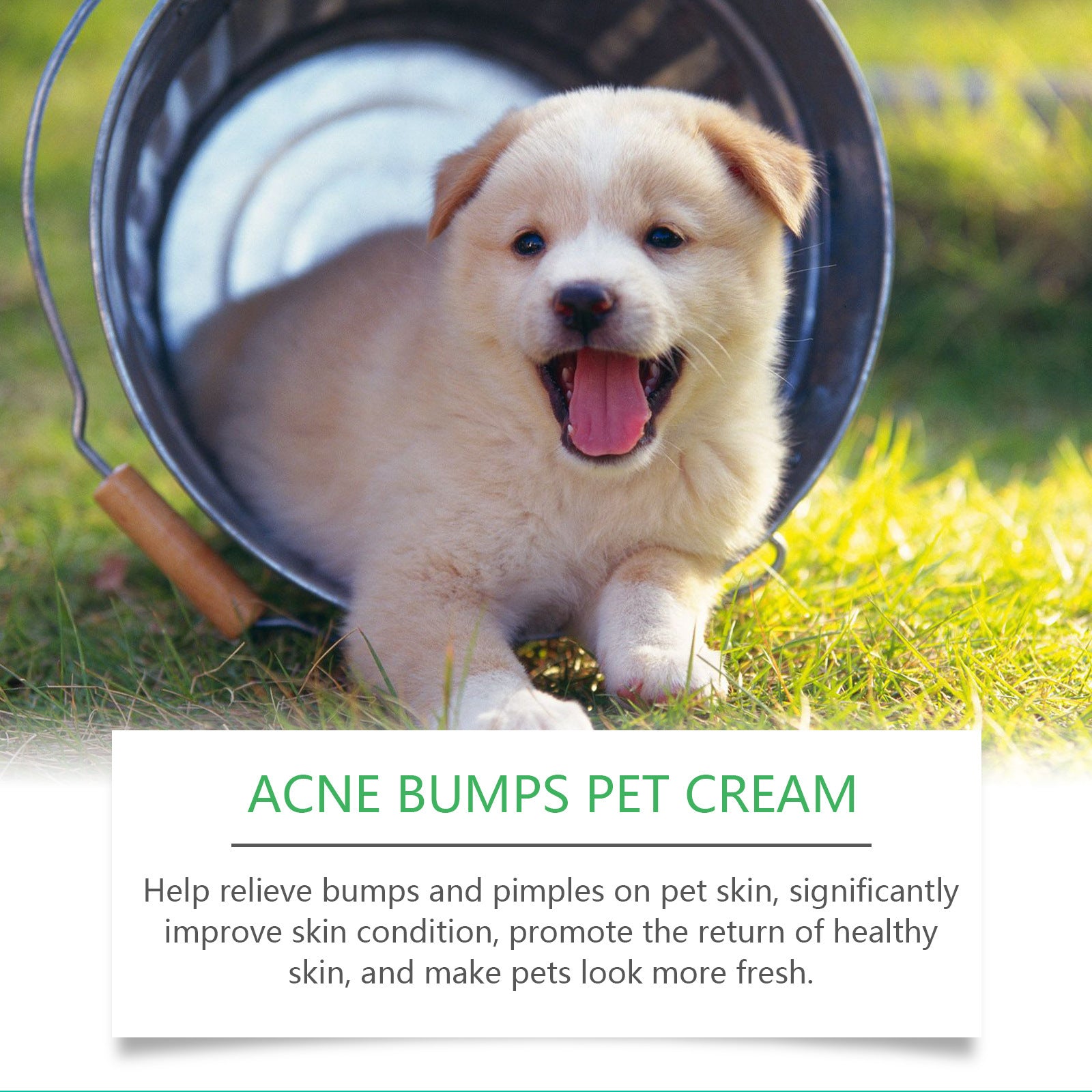 Pet Neck Cream with Aloe and Tea Tree Oil for Soothing Care 25g - Teleplus neck cream pet care