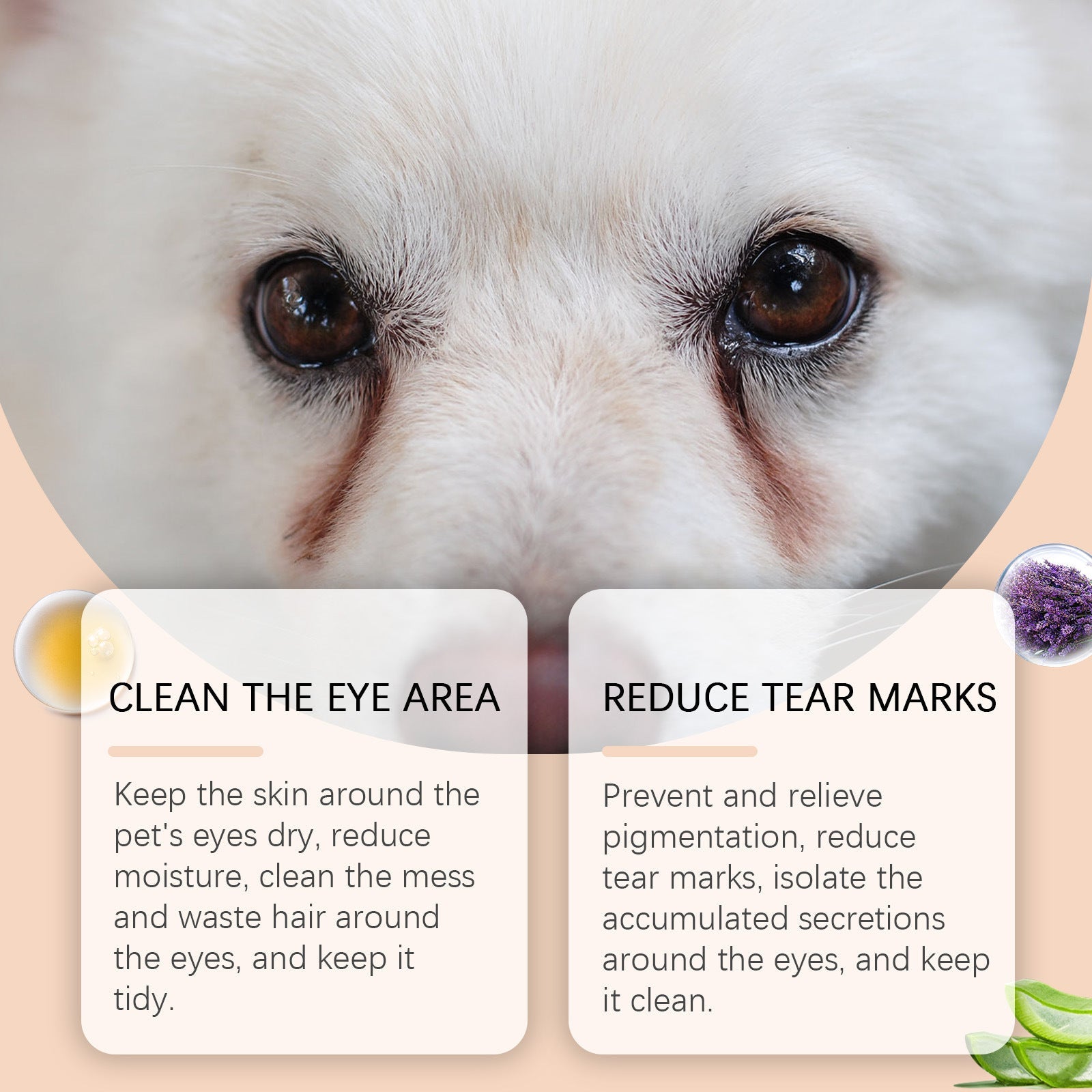 Pet Tears Cleaning Cream for Dogs and Cats Tear Stain Remover 30g - Teleplus pet tears cleaning