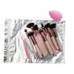 Pink Makeup Brush Set with Portable Cosmetic Bag for Travel and Daily - Teleplus makeup brushes suit portable