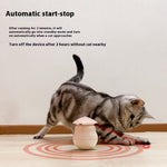 Pink Pet Toys Set ABS Plastic Box for Dogs and Cats Interactive Play - pet toys