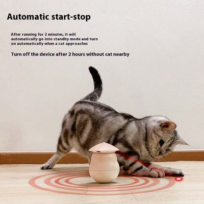 Pink Pet Toys Set ABS Plastic Box for Dogs and Cats Interactive Play - pet toys