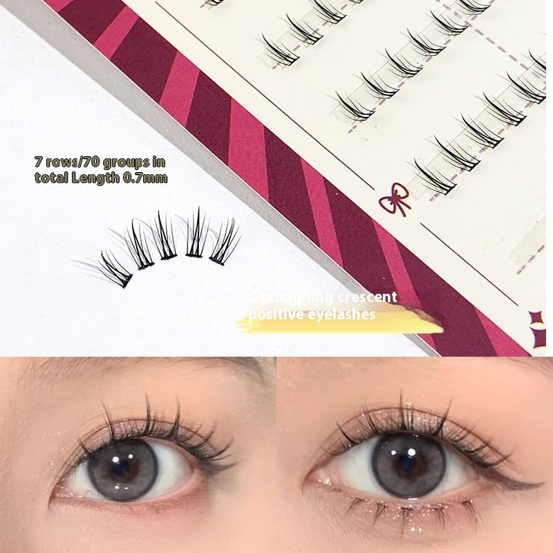Portable Segmented Natural False Eyelashes with Cat Ears for United States Fans - Teleplus US portable segmented
