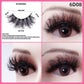 Premium False Eyelashes Set for United States and CHF Collection - united states chf false eyelashes