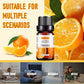 Premium Home Fragrance Oil for Diffusers Scented Aromatherapy Essential Oils - Diffuser Teleplus