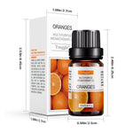 Premium Home Fragrance Oil for Diffusers Scented Aromatherapy Essential Oils - Diffuser Teleplus