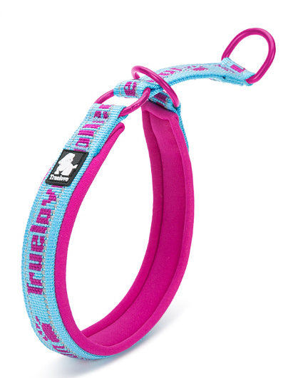 Reflective Nylon Dog Collar Adjustable Pet with Neoprene Padding - Teleplus