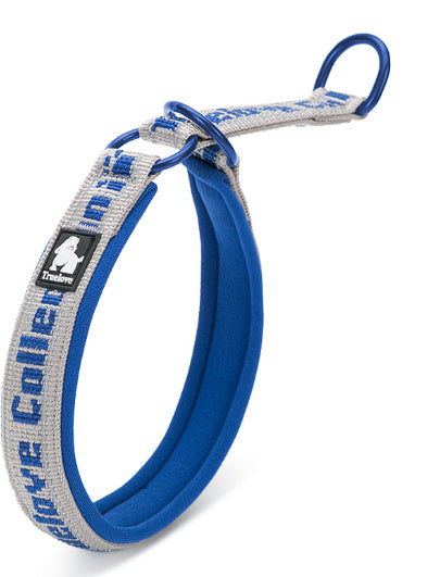 Reflective Nylon Dog Collar Adjustable Pet with Neoprene Padding - Teleplus