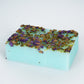 Refreshing And Balanced Water Oil Petal Soap - Petal Soap That Balances Water Oil Like a Pro