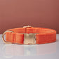 Rope Collar in Coral Orange and Light Water Green Adjustable Pet - [rope collar] light water green coral orange