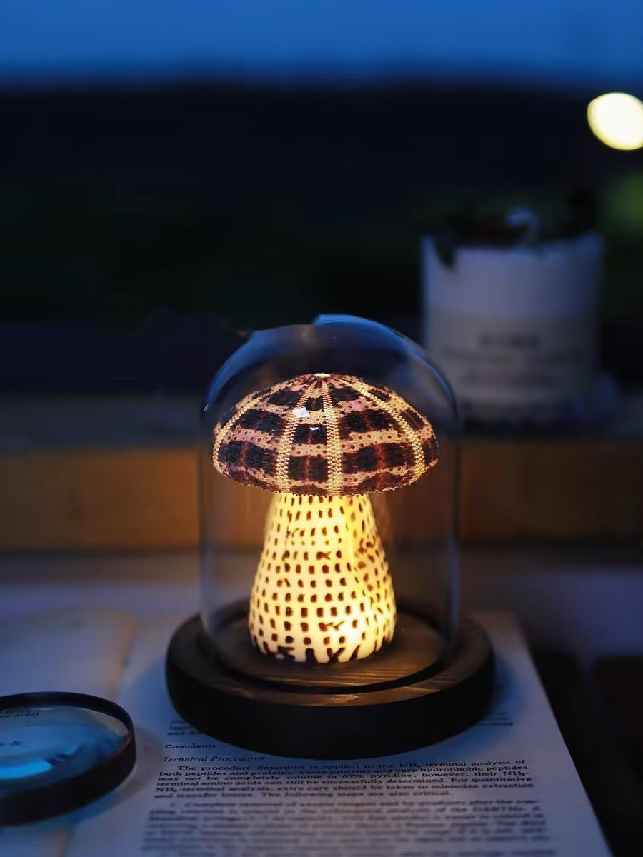Sea Urchin Handmade Night Lamp Decoration with Mushroom Craft - mushroom sea urchin handmade night lamp decoration
