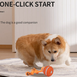 Second Generation Bird Calling Dog Toy Orange Blue with Replacement Rope - Teleplus second generation bird calling