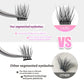 Segmented Eyelashes with Imported Fiber for United States Customers CHF - united states chf segmented eyelashes
