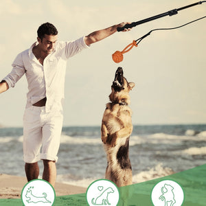 Small Size Aluminum Alloy Interactive Cat and Dog Teasing Stick Toy - small size