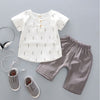 summer baby boys outfits sports - Grey pants