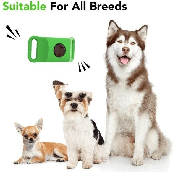 Tick Flea and Collar for Dogs Adjustable Polyethylene Four Seasons - Teleplus tick