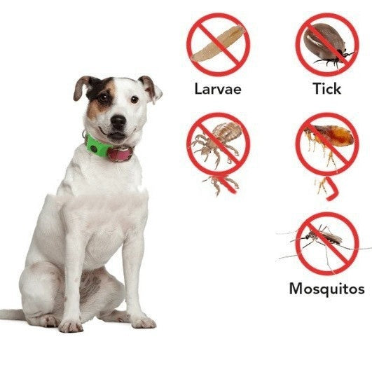 Tick Flea and Collar for Dogs Adjustable Polyethylene Four Seasons - Teleplus tick